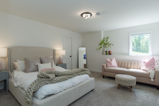 31709 Green Scene Dr, Breezy Point, MN 56472 - bedroom featuring carpet floors