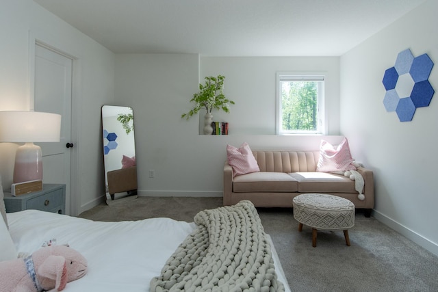 31709 Green Scene Dr, Breezy Point, MN 56472 - carpeted bedroom featuring baseboards