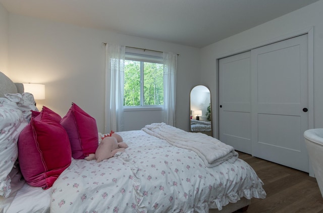 31709 Green Scene Dr, Breezy Point, MN 56472 - bedroom with wood finished floors and a closet