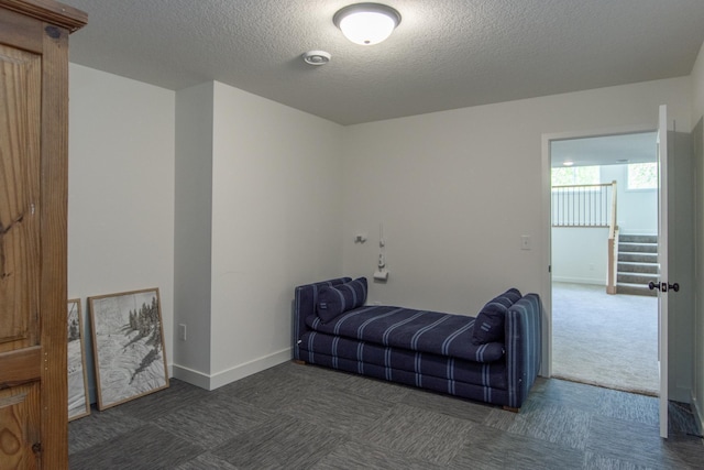 31709 Green Scene Dr, Breezy Point, MN 56472 - living area with dark colored carpet, a textured ceiling, and baseboards