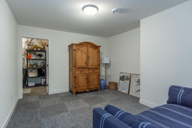31709 Green Scene Dr, Breezy Point, MN 56472 - living room featuring a textured ceiling and baseboards