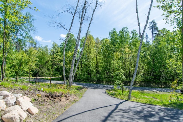 31709 Green Scene Dr, Breezy Point, MN 56472 - view of community with a view of trees