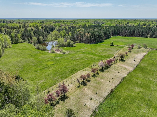 2444 County Rd 1, Wrenshall, MN 55797 - aerial view of a heavily wooded area and a nearby body of water