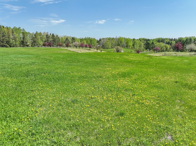 2444 County Rd 1, Wrenshall, MN 55797 - view of grassy yard featuring a view of rural / pastoral area