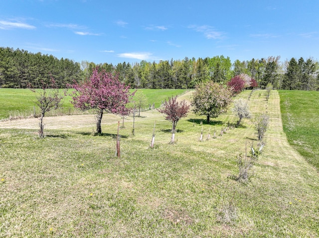 2444 County Rd 1, Wrenshall, MN 55797 - view of green lawn featuring a rural view