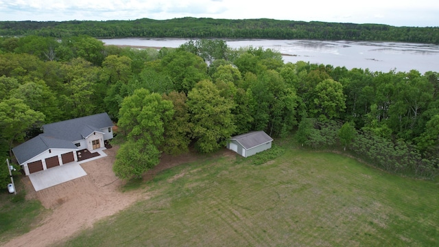 20482 Lord Rd, Center Twp, MN 56465 - drone / aerial view of a forest and a large body of water