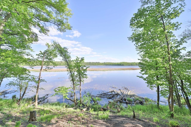 20482 Lord Rd, Center Twp, MN 56465 - water view