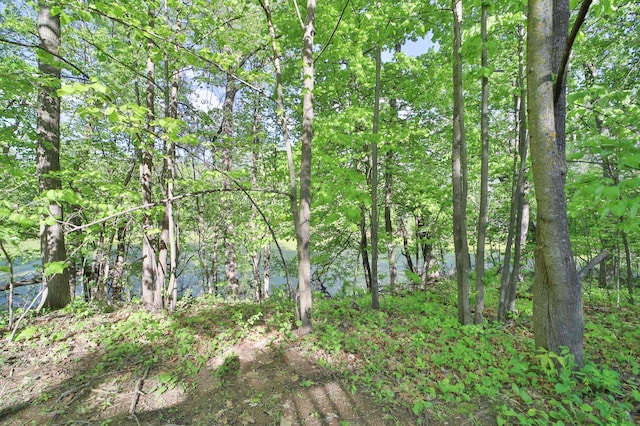 20482 Lord Rd, Center Twp, MN 56465 - view of local wilderness