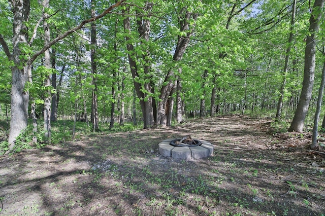 20482 Lord Rd, Center Twp, MN 56465 - view of yard with an outdoor fire pit and a forest view