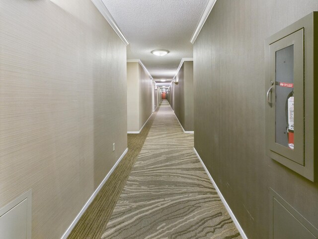 121 Washington Ave S Unit 312, Minneapolis, MN 55401 - photo 19