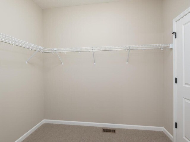 5393 177th St W, Lakeville, MN 55044 - walk in closet with light carpet