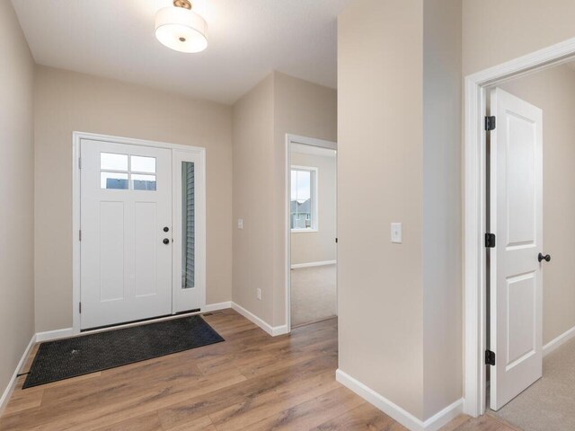 5393 177th St W, Lakeville, MN 55044 - foyer with wood finished floors, baseboards, and plenty of natural light