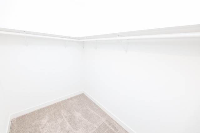 1202 Ridgeview Ter NE, Alexandria, MN 56308 - walk in closet with carpet floors