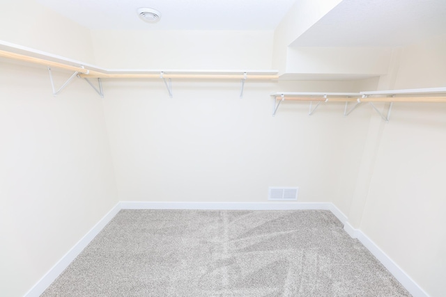 1202 Ridgeview Ter NE, Alexandria, MN 56308 - walk in closet featuring carpet