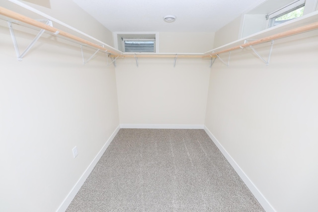1202 Ridgeview Ter NE, Alexandria, MN 56308 - spacious closet with carpet flooring