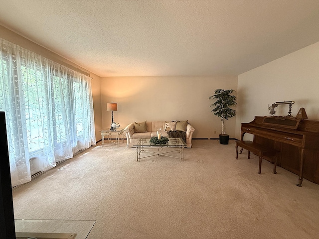 1646 5th St, Montevideo, MN 56265 - living room with plenty of natural light, carpet, and a textured ceiling
