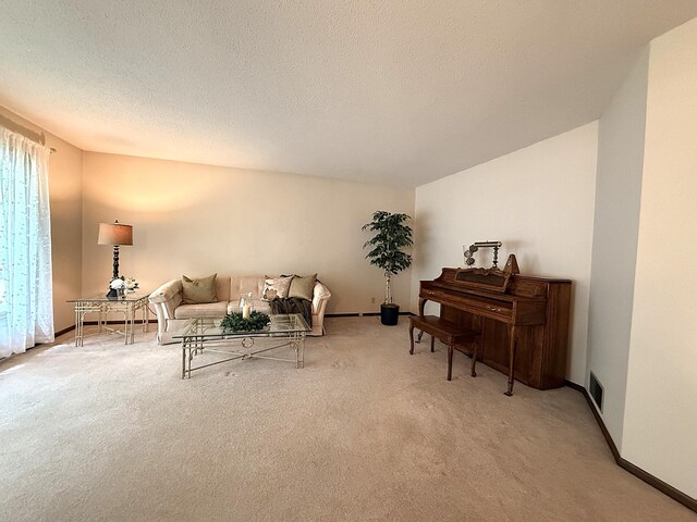 1646 5th St, Montevideo, MN 56265 - carpeted living area featuring baseboards and a textured ceiling