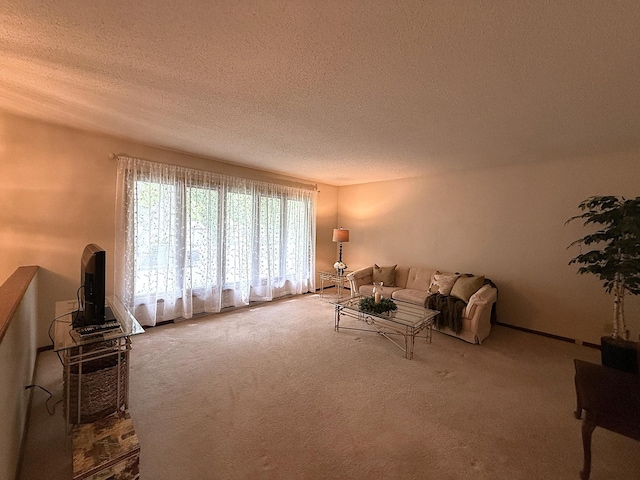 1646 5th St, Montevideo, MN 56265 - living area with carpet flooring and a textured ceiling