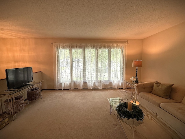 1646 5th St, Montevideo, MN 56265 - living room featuring carpet, healthy amount of natural light, and a textured ceiling