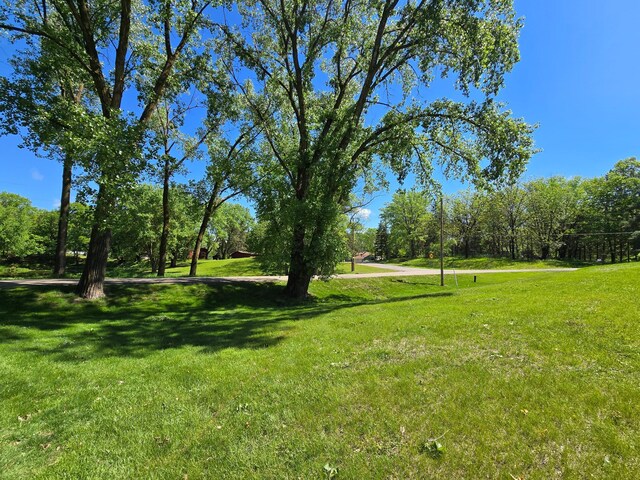 4230 Odegard Ave N, Baytown Twp, MN 55082 - view of grassy yard