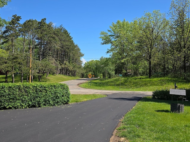 4230 Odegard Ave N, Baytown Twp, MN 55082 - view of asphalt road