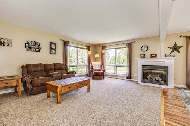 4230 Odegard Ave N, Baytown Twp, MN 55082 - living area featuring a fireplace and wood finished floors