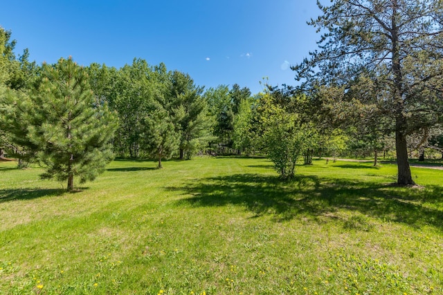 8296 Gladstone Lake Rd, Lake Edward Twp, MN 56401 - view of green lawn