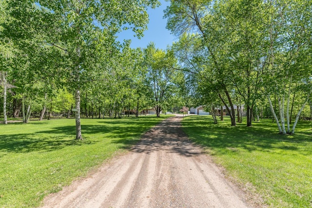 8296 Gladstone Lake Rd, Lake Edward Twp, MN 56401 - view of dirt / gravel driveway