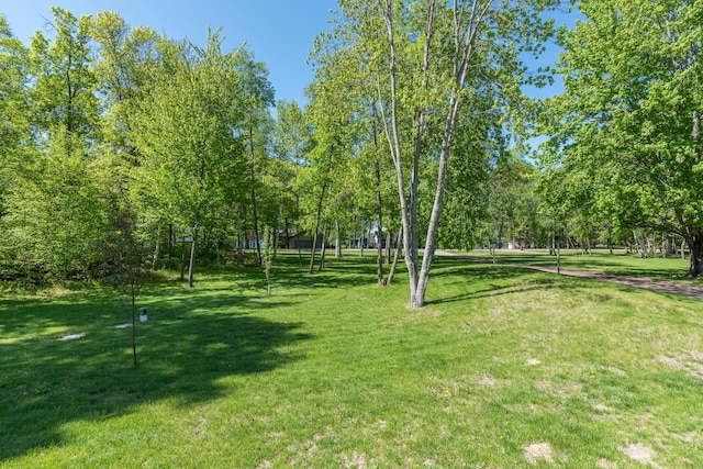 8296 Gladstone Lake Rd, Lake Edward Twp, MN 56401 - view of green lawn