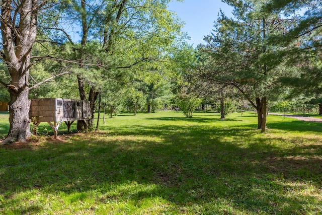 8296 Gladstone Lake Rd, Lake Edward Twp, MN 56401 - view of green lawn