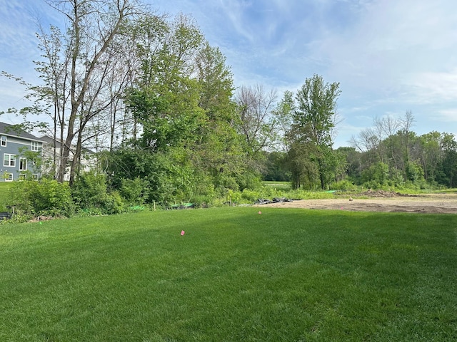 20117 63rd Ave, Corcoran, MN 55340 - view of green lawn