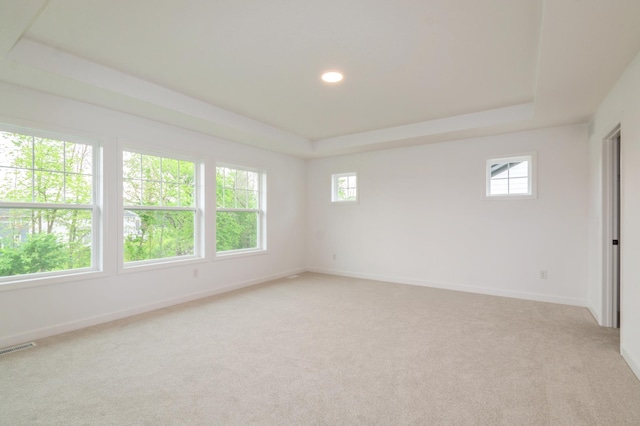 20117 63rd Ave, Corcoran, MN 55340 - unfurnished room featuring healthy amount of natural light, light colored carpet, a raised ceiling, and recessed lighting