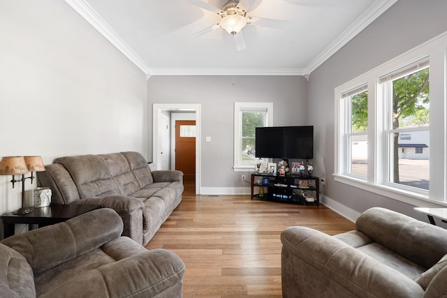 1001 2nd Ave SW, Austin, MN 55912 - living room with ornamental molding, ceiling fan, light wood finished floors, and baseboards