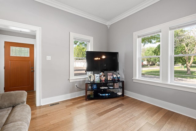 1001 2nd Ave SW, Austin, MN 55912 - living area featuring crown molding, light wood finished floors, plenty of natural light, and baseboards