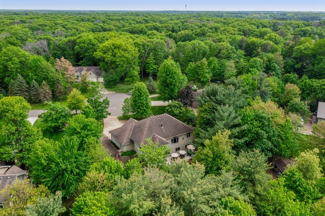 5160 202nd Ln NE, Linwood Twp, MN 55092 - aerial view of a forest