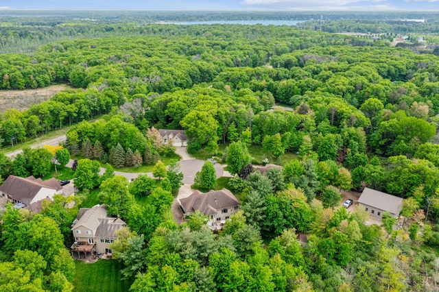5160 202nd Ln NE, Linwood Twp, MN 55092 - aerial view of a heavily wooded area and a nearby body of water