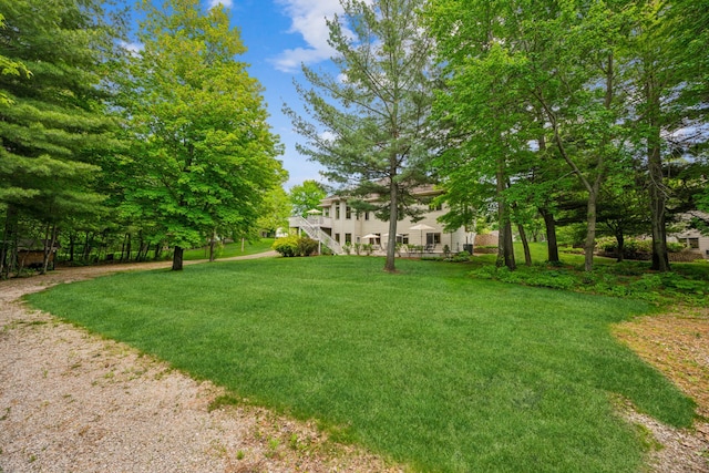 5160 202nd Ln NE, Linwood Twp, MN 55092 - view of green lawn