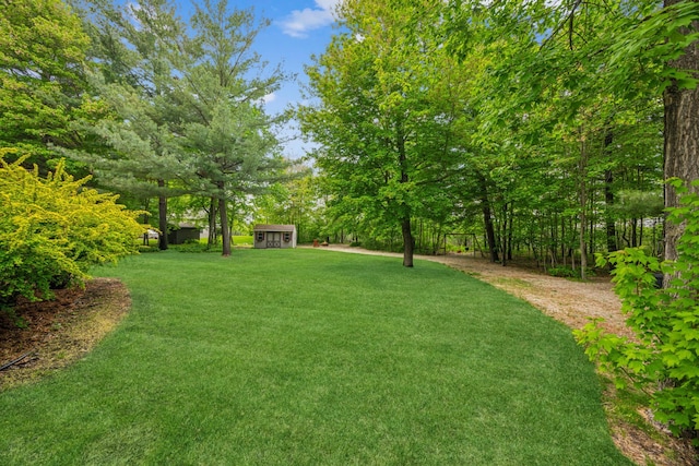 5160 202nd Ln NE, Linwood Twp, MN 55092 - view of grassy yard