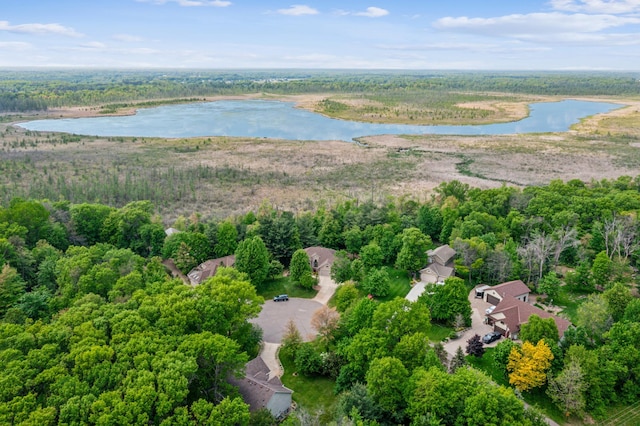 5160 202nd Ln NE, Linwood Twp, MN 55092 - aerial view of a large body of water and a heavily wooded area