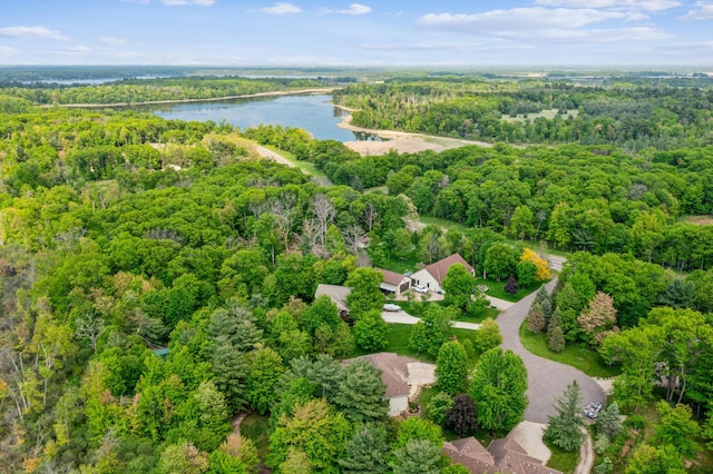 5160 202nd Ln NE, Linwood Twp, MN 55092 - aerial view of a nearby body of water and a heavily wooded area