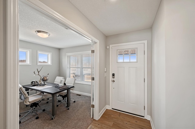 1955 Fulton Rd, Carver, MN 55315 - foyer entrance with baseboards and wood finished floors