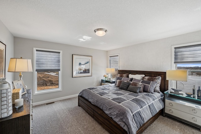 1955 Fulton Rd, Carver, MN 55315 - carpeted bedroom with baseboards and a textured ceiling