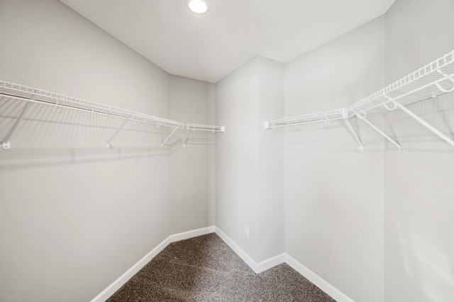 1955 Fulton Rd, Carver, MN 55315 - walk in closet with carpet