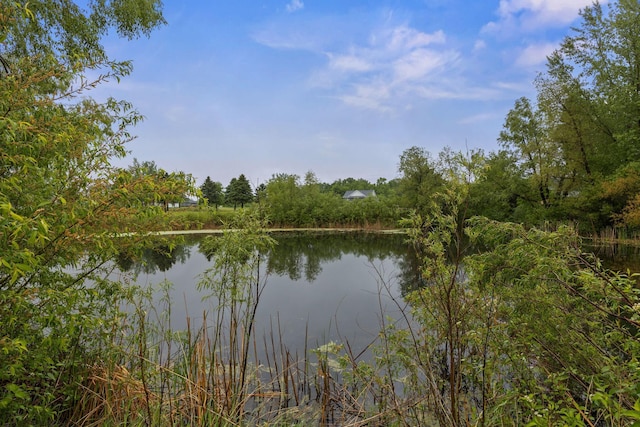 970 Acacia Dr S, Annandale, MN 55302 - water view