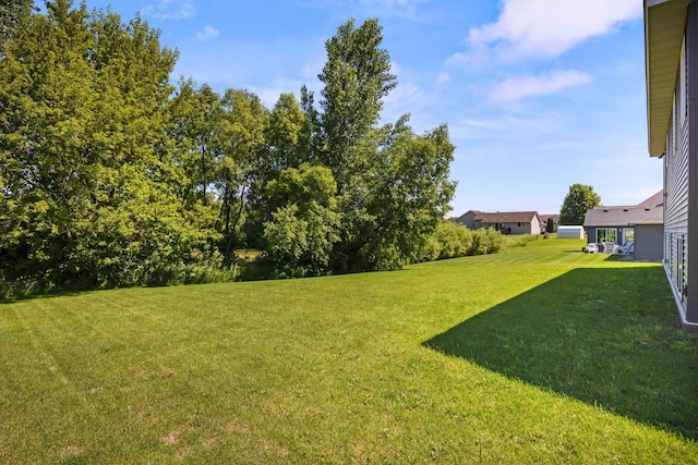 970 Acacia Dr S, Annandale, MN 55302 - view of green lawn