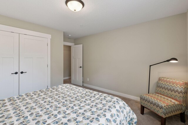 15653 Cobblestone Lake Pkwy, Apple Valley, MN 55124 - bedroom featuring carpet floors, baseboards, and a closet
