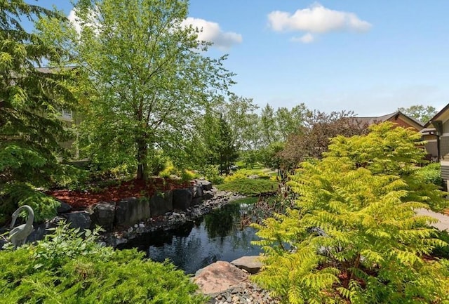 15653 Cobblestone Lake Pkwy, Apple Valley, MN 55124 - view of yard