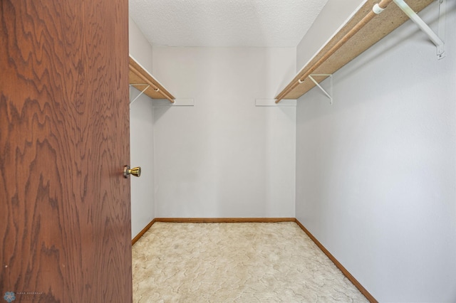 2802 29th Ave S, Moorhead, MN 56560 - walk in closet featuring carpet