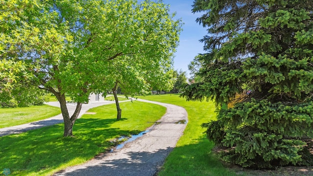 2802 29th Ave S, Moorhead, MN 56560 - view of property's community with a lawn
