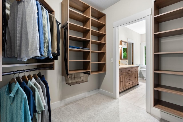 8580 Maple View Dr, Cologne, MN 55322 - spacious closet with light carpet and a sink